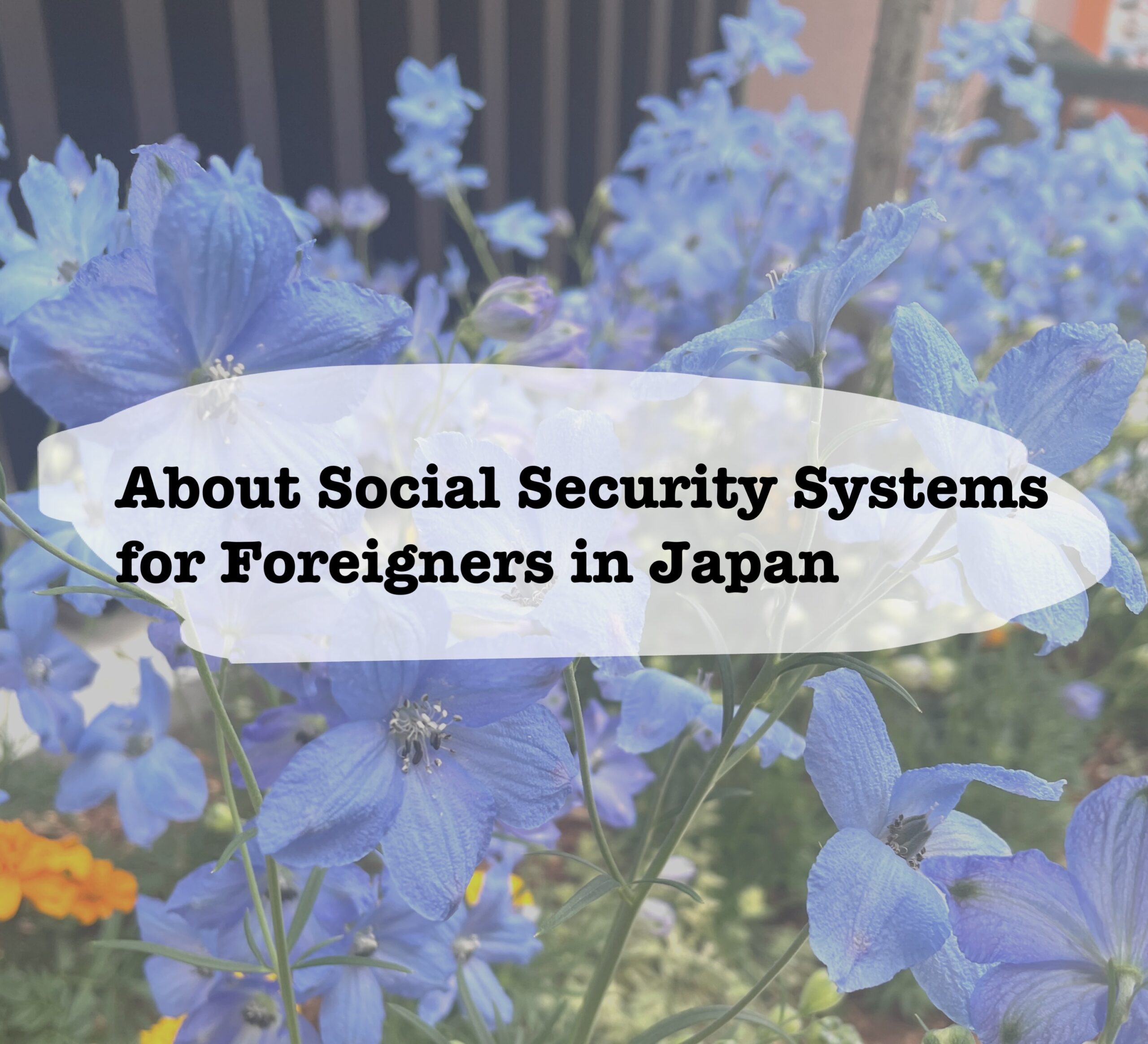 Comparison of Social Security Systems Self-Employed and Employee